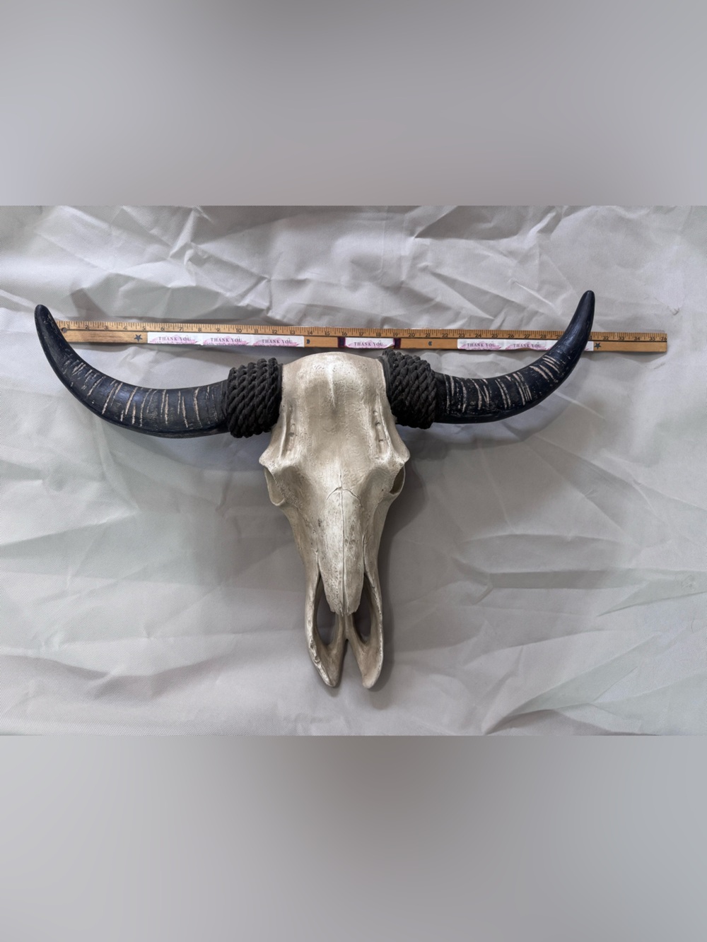 Bull Skull Wall Accent in Ivory and Black